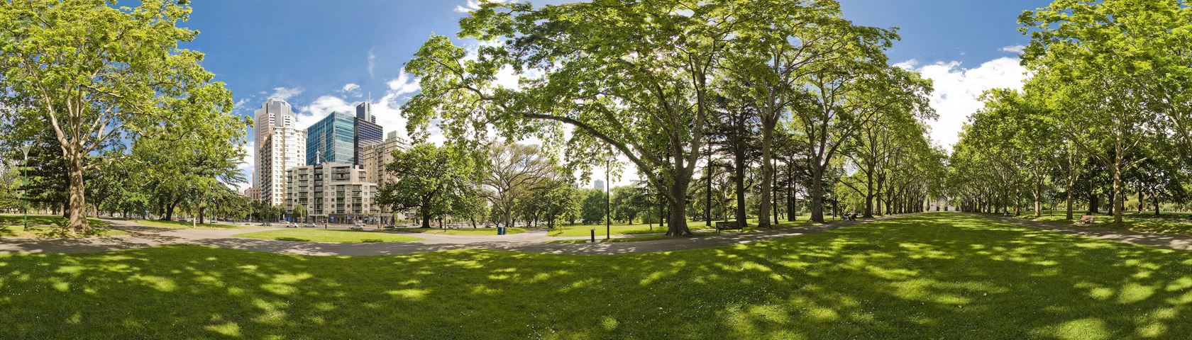 Carlton Gardens Trees
