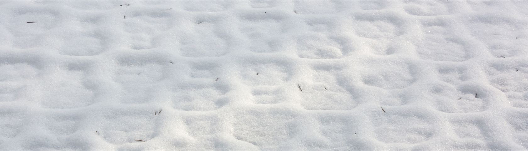 Snowy Pattern