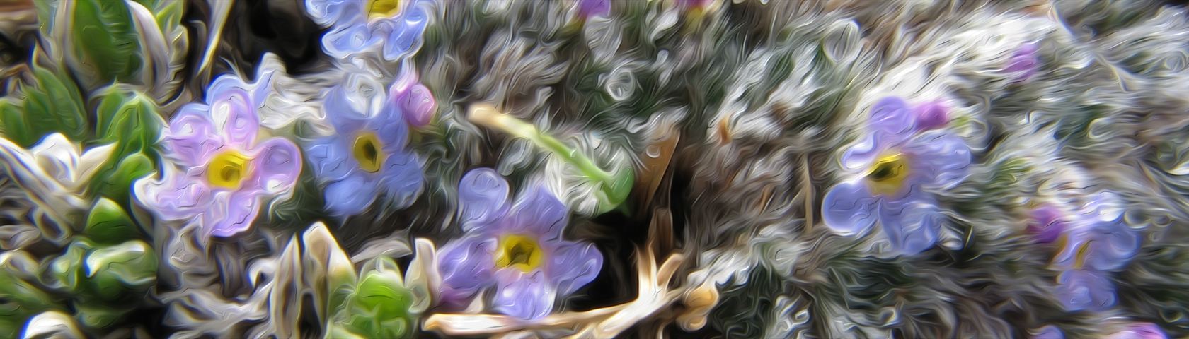Tundra Flower (Oil)
