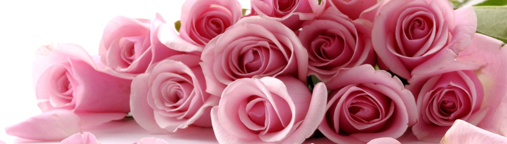 Pink Rose Bouquet • Images • WallpaperFusion by Binary Fortress Software