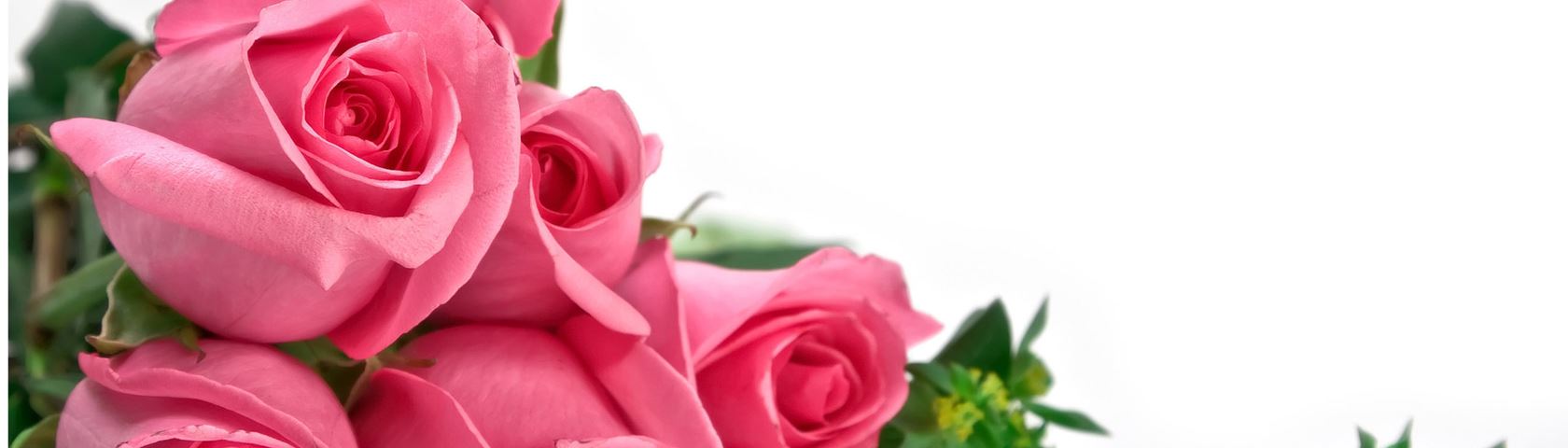 Dark Pink Rose Bouquet