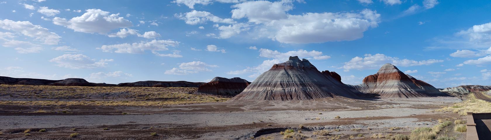 Petrified Forest State Park