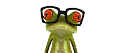 Hipster Frog
