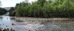 River Swale in Richmond