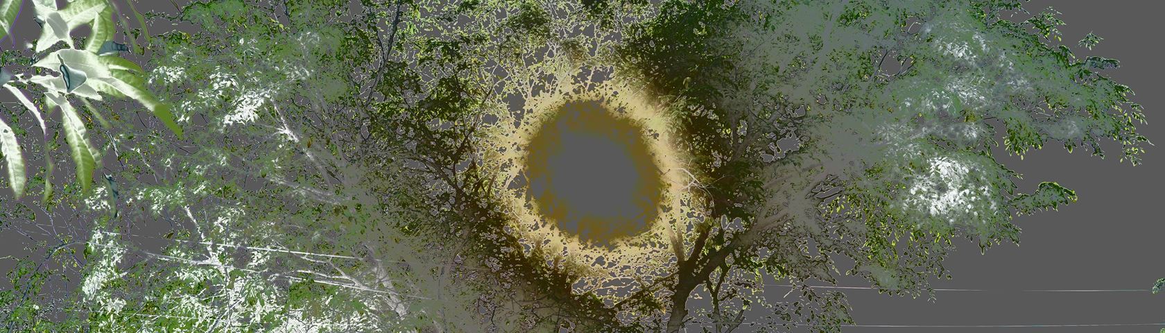 Tree Abstraction