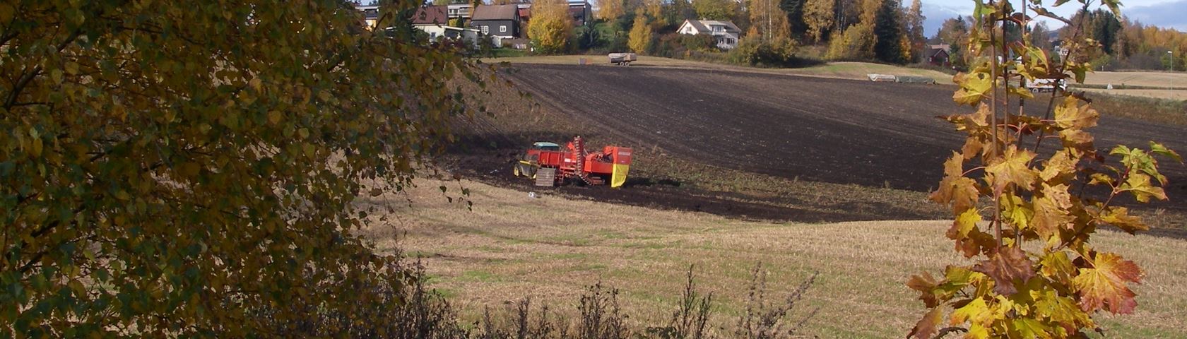 Autumn Ploughing