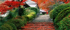 Garden Stairs in Japan