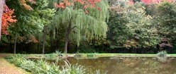 Princeton Pond