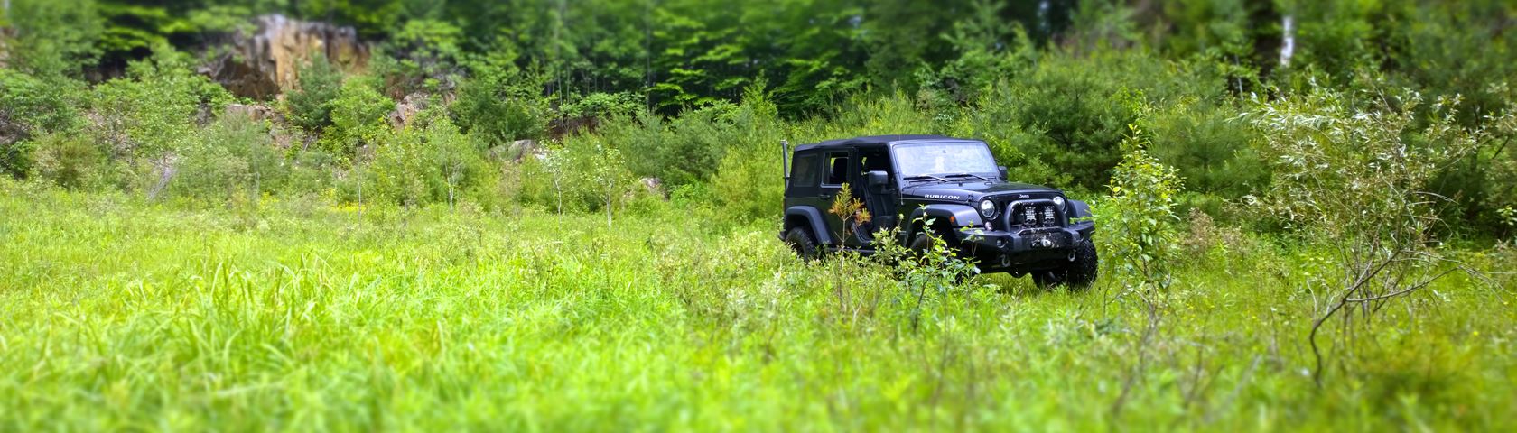 Jeep Rubicon in field