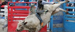 Small Town Rodeo