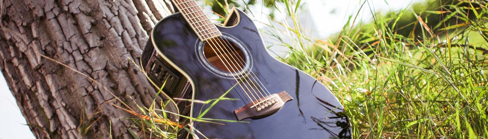 Guitar in the Grass