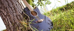 Guitar in the Grass