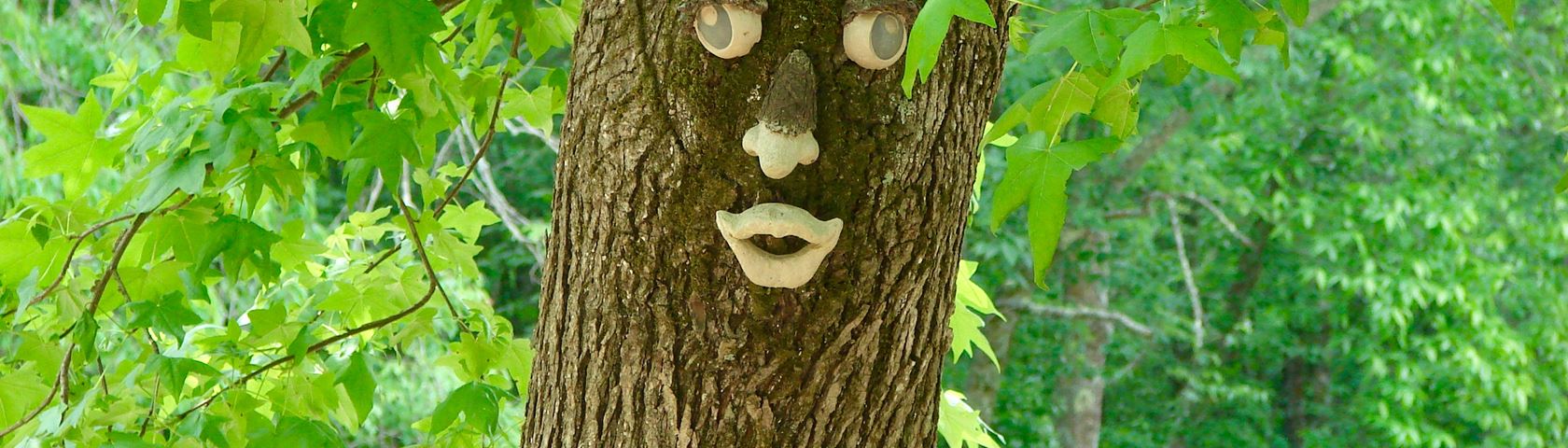Happy Face Tree