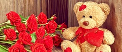 Rose Teddy Valentine