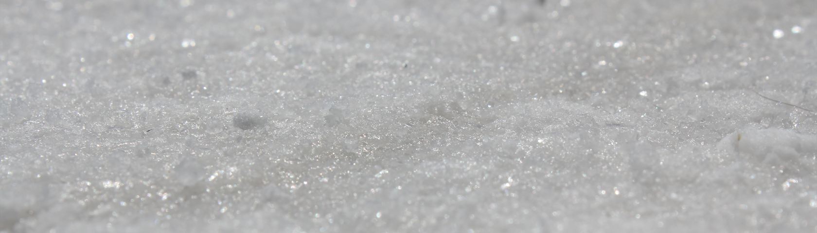 Bonneville Salt