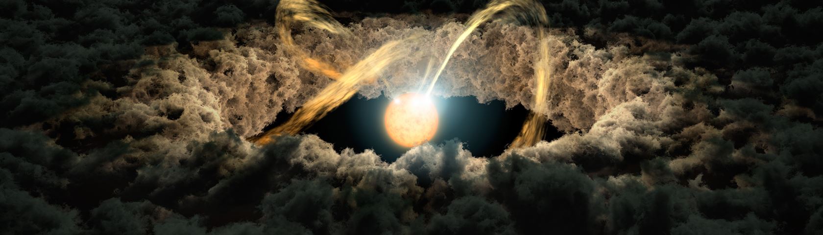 Star Surrounded by a Protoplanetary Disk