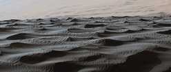 Dark Dunes on Mars