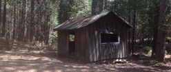 Sierras Logging Camp