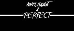 Adapt-Persist-Perfect