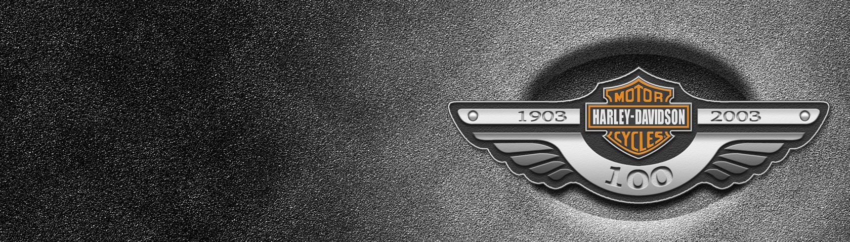 Harley Davidson 100th Anniversary
