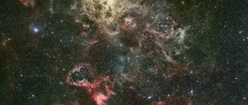 Tarantula Nebula Stellar Crib