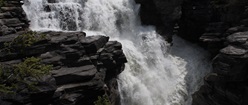 Falls Near Jasper Lower