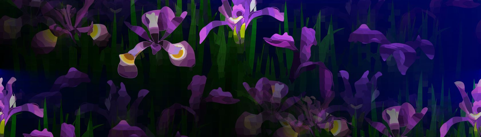 Iris Illusion