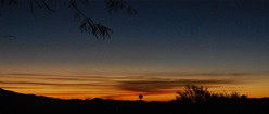 Tucson Nights