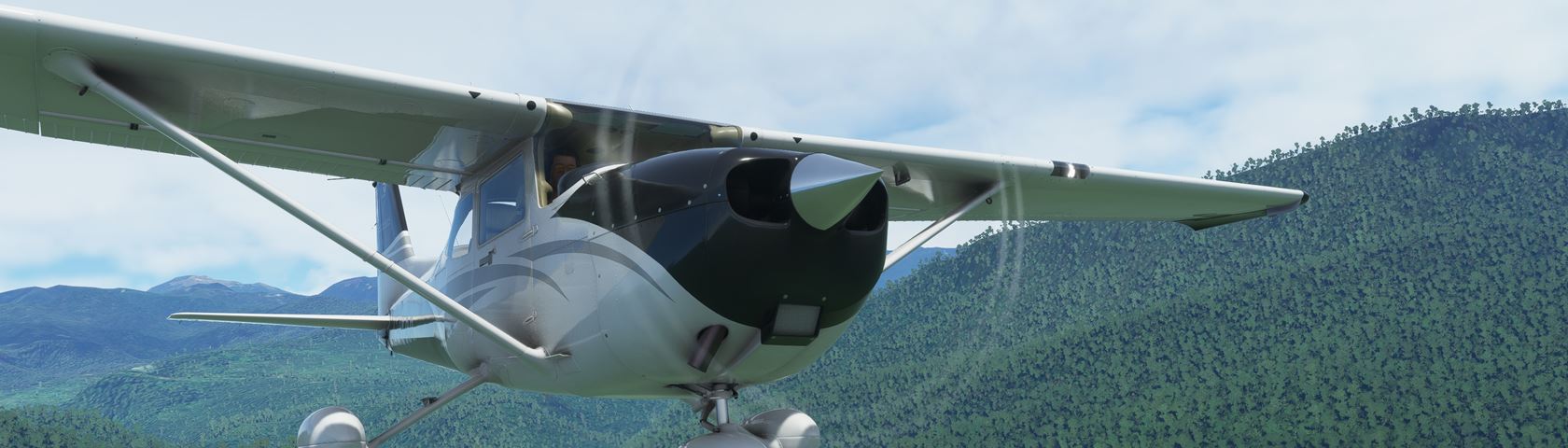 FS2020 Cessna 150