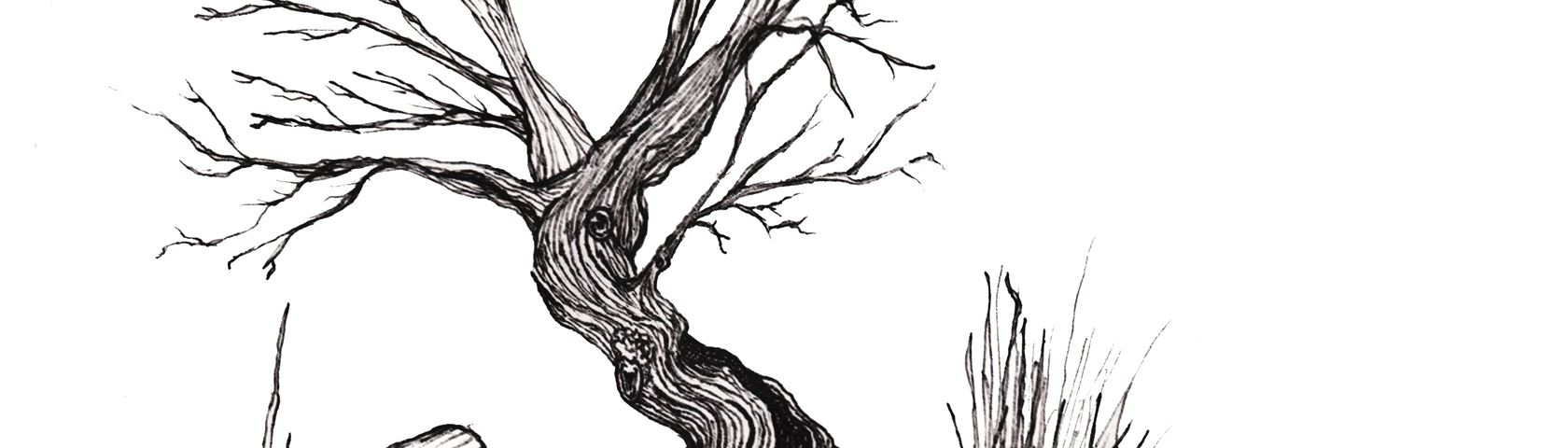 Pen & Ink Tree Drawing