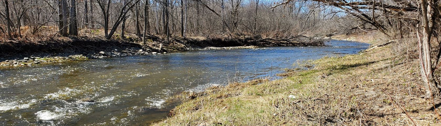 River in spring