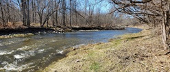 River in spring
