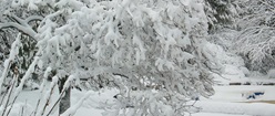 Snowmageddon