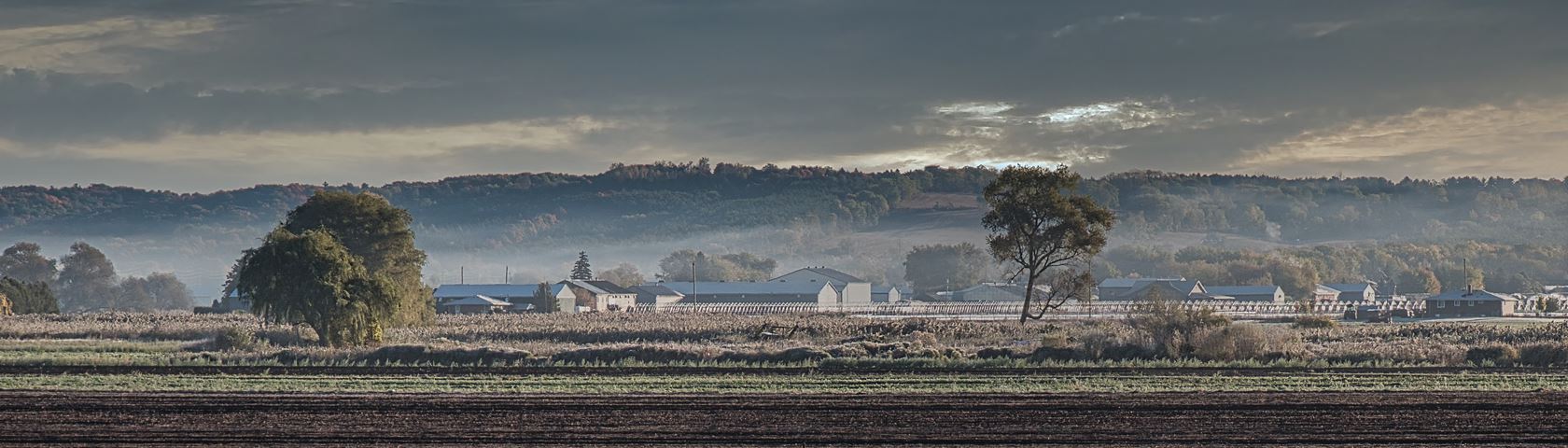 Frosty Fields