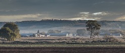 Frosty Fields