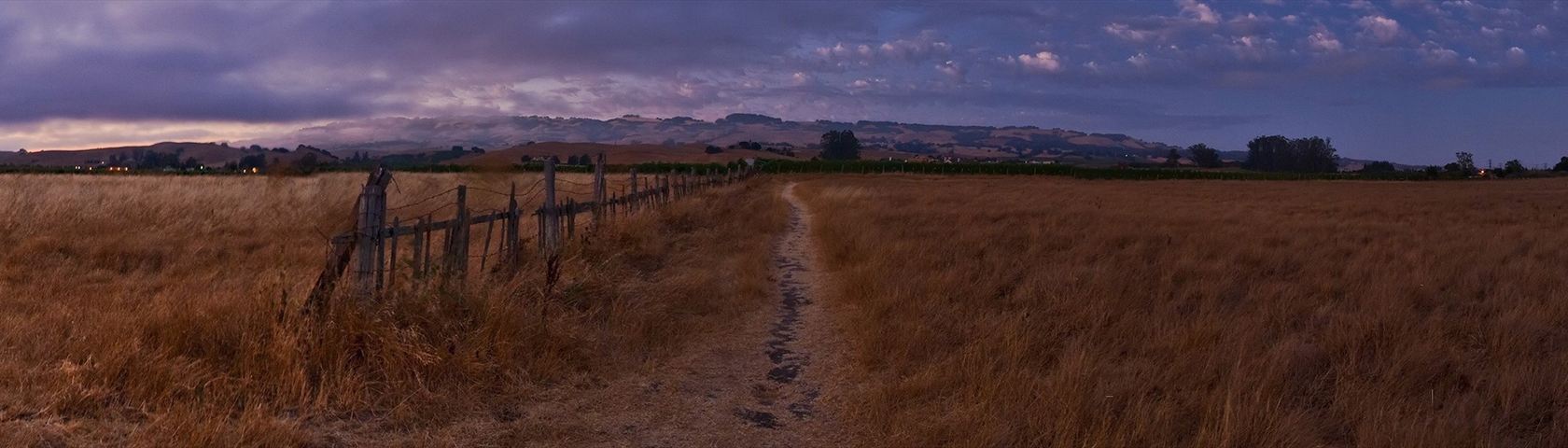 Path Through a Field