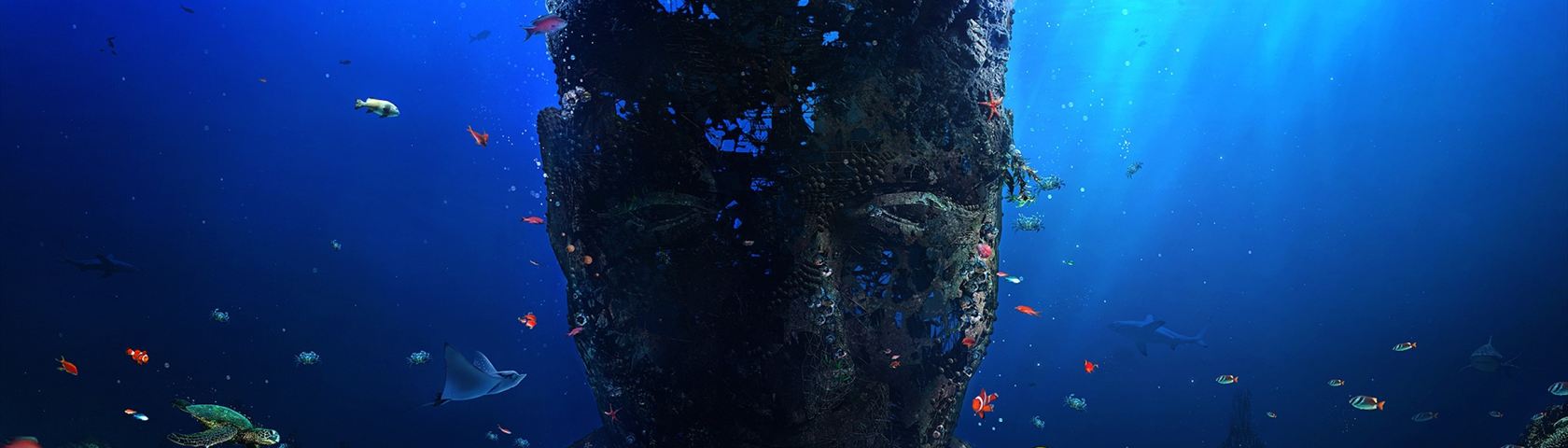 Underwater Face