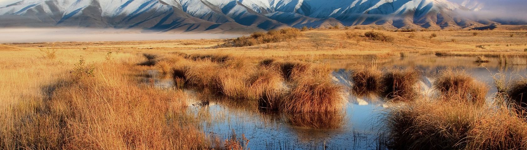 Marsh by the Mountains