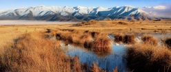 Marsh by the Mountains