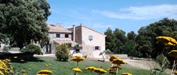 Provencal House