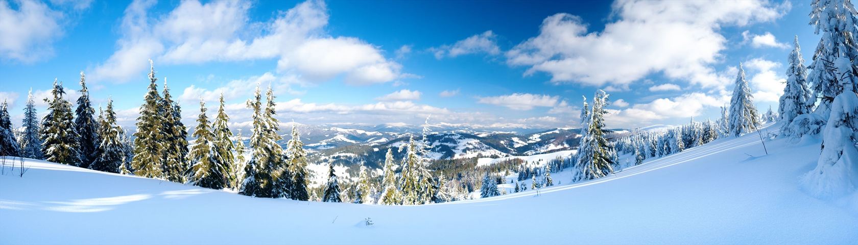 Snowy Mountain View