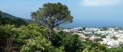 Sky and Turf of Capri