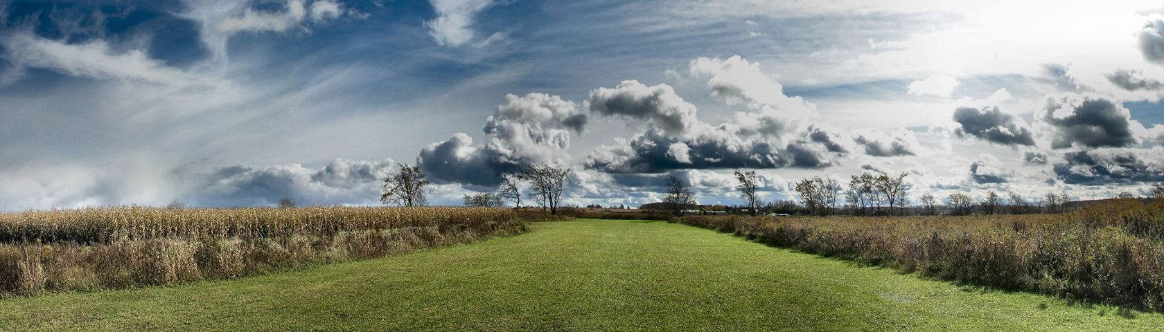 Panorama of a Field
