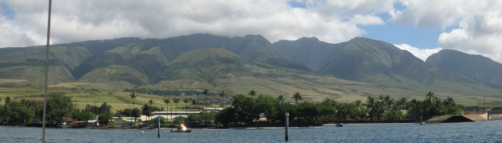 Maui Shore