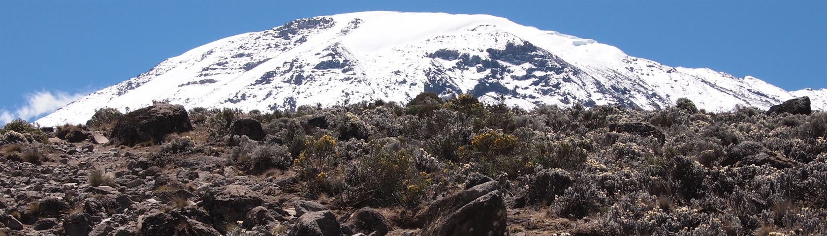 Snow covered Kilimanjaro