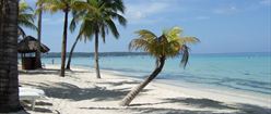 White Sand in Jamaica