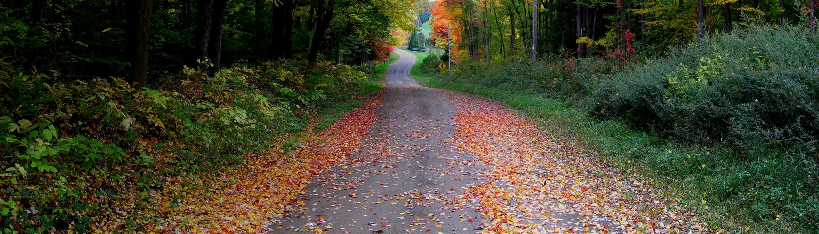 Squiggly Road Autumn