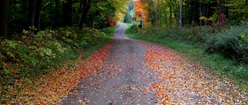 Squiggly Road Autumn