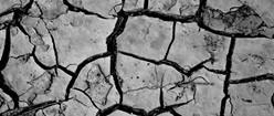 Cracked Mud
