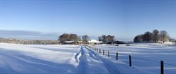 Snowy Rural Scene in Scotland